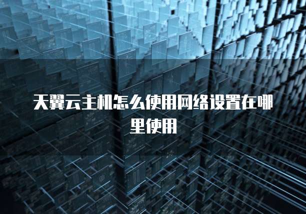 天翼云主机怎么使用网络设置在哪里使用
