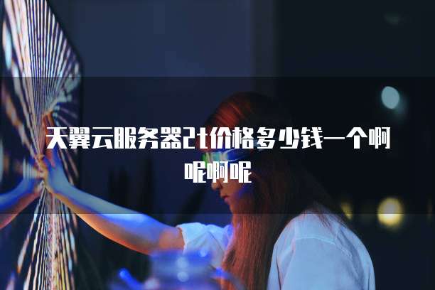 天翼云服务器2t价格多少钱一个啊呢啊呢
