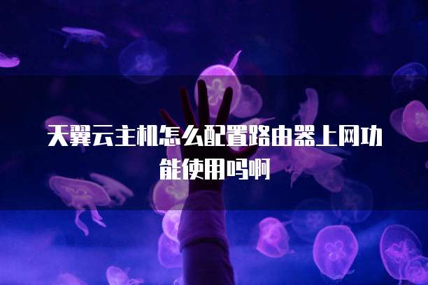 天翼云主机怎么配置路由器上网功能使用吗啊