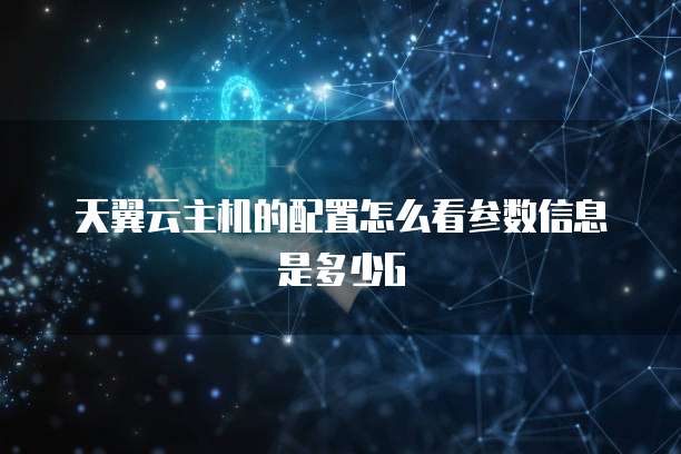 天翼云主机的配置怎么看参数信息是多少G