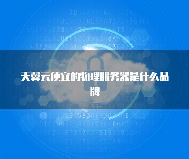 天翼云便宜的物理服务器是什么品牌