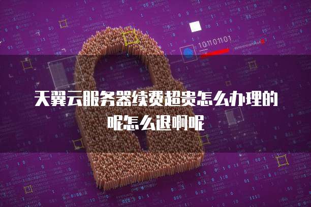 天翼云服务器续费超贵怎么办理的呢怎么退啊呢