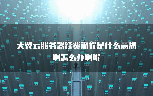 天翼云服务器续费流程是什么意思啊怎么办啊呢