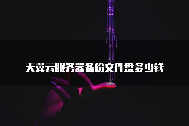 天翼云服务器备份文件盘多少钱
