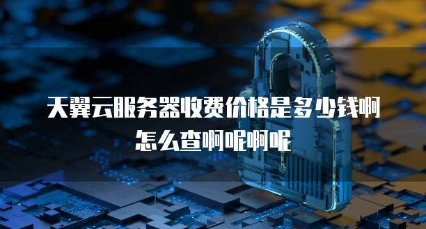 天翼云服务器收费价格是多少钱啊怎么查啊呢啊呢