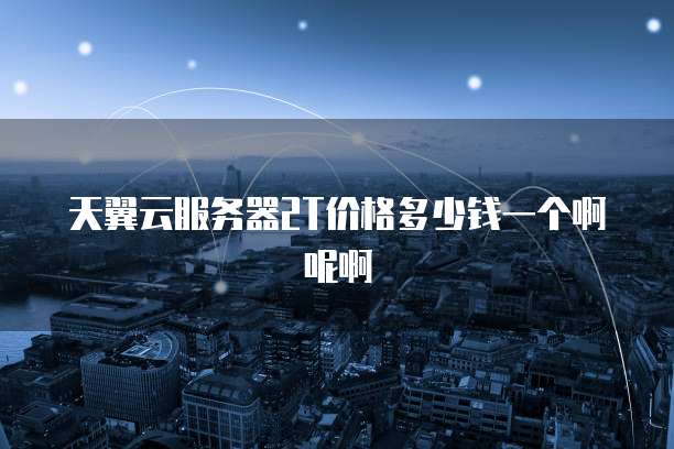 天翼云服务器2T价格多少钱一个啊呢啊