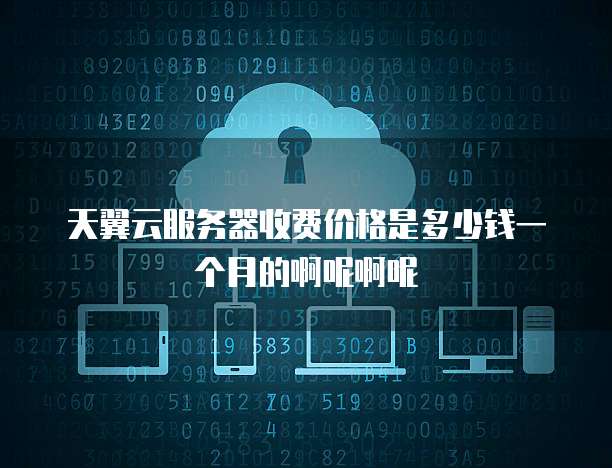 天翼云服务器收费价格是多少钱一个月的啊呢啊呢