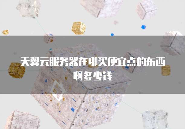 天翼云服务器在哪买便宜点的东西啊多少钱