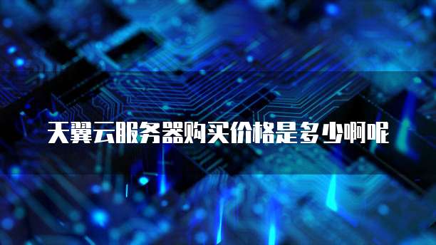 天翼云服务器购买价格是多少啊呢