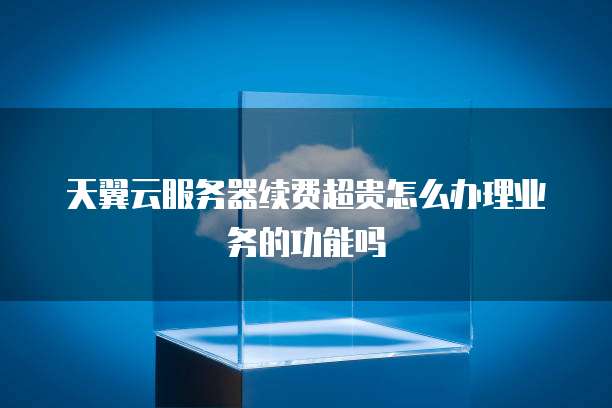 天翼云服务器续费超贵怎么办理业务的功能吗