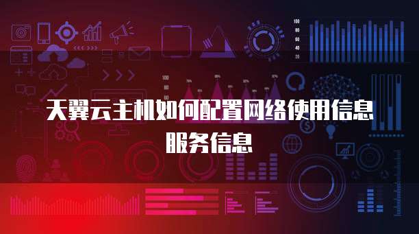 天翼云主机如何配置网络使用信息服务信息