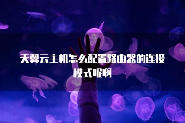 天翼云主机怎么配置路由器的连接模式呢啊