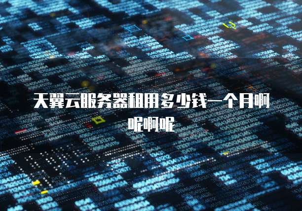 天翼云服务器租用多少钱一个月啊呢啊呢