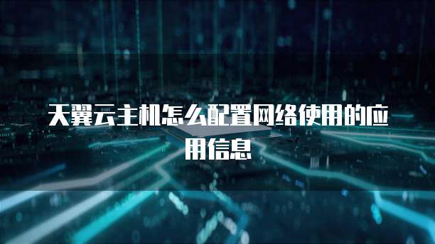 天翼云主机怎么配置网络使用的应用信息