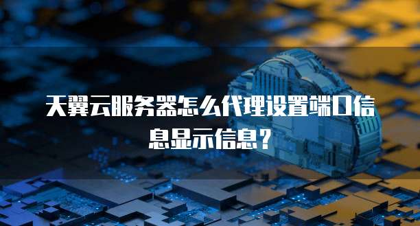 天翼云服务器怎么代理设置端口信息显示信息?