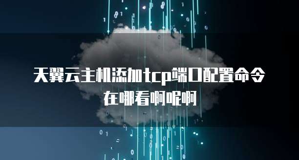 天翼云主机添加tcp端口配置命令在哪看啊呢啊