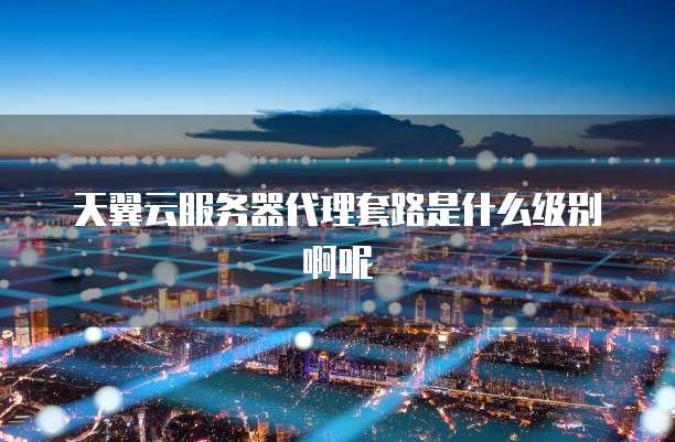 天翼云服务器代理套路是什么级别啊呢
