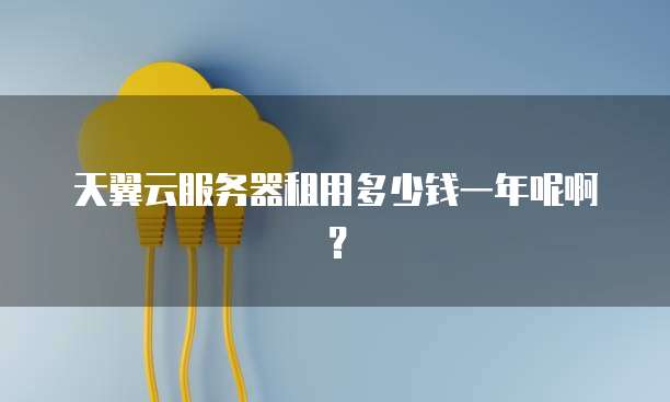 天翼云服务器租用多少钱一年呢啊?