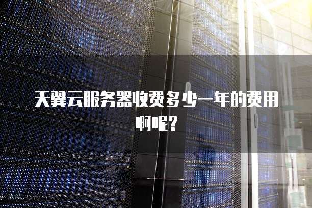 天翼云服务器收费多少一年的费用啊呢？