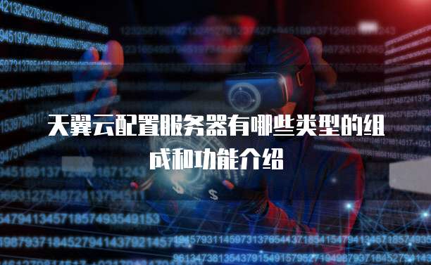 天翼云配置服务器有哪些类型的组成和功能介绍