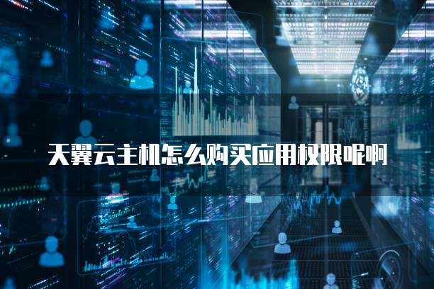 天翼云主机怎么购买应用权限呢啊