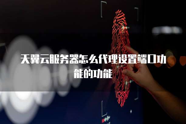 天翼云服务器怎么代理设置端口功能的功能
