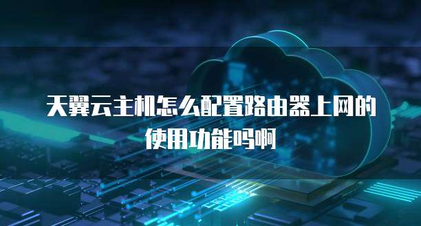 天翼云主机怎么配置路由器上网的使用功能吗啊