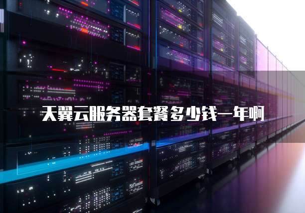 天翼云服务器套餐多少钱一年啊