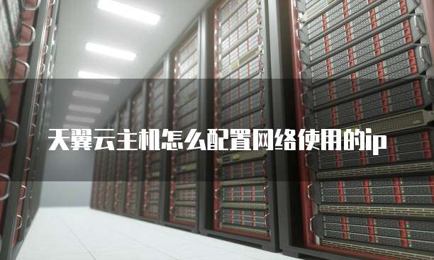 天翼云主机怎么配置网络使用的ip