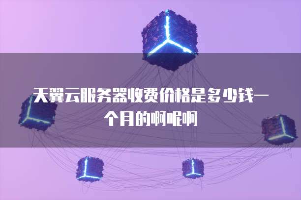 天翼云服务器收费价格是多少钱一个月的啊呢啊