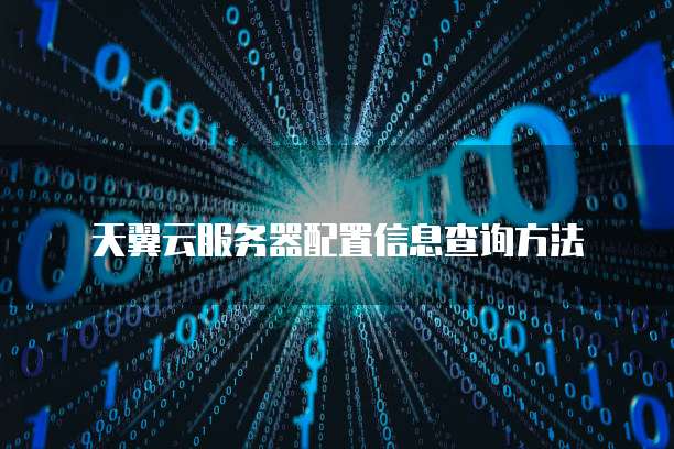 天翼云服务器配置信息查询方法