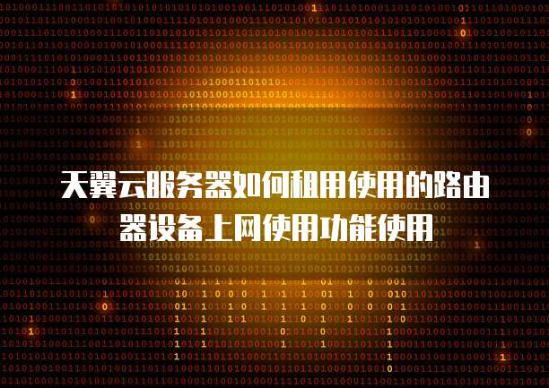 天翼云服务器如何租用使用的路由器设备上网使用功能使用