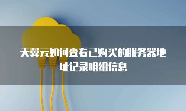 天翼云如何查看已购买的服务器地址记录明细信息
