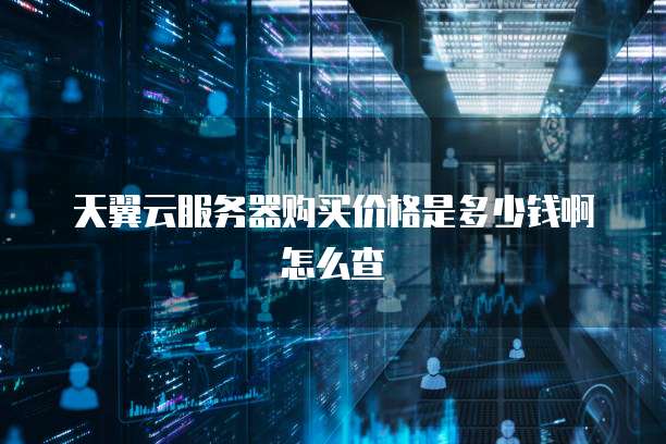 天翼云服务器购买价格是多少钱啊怎么查