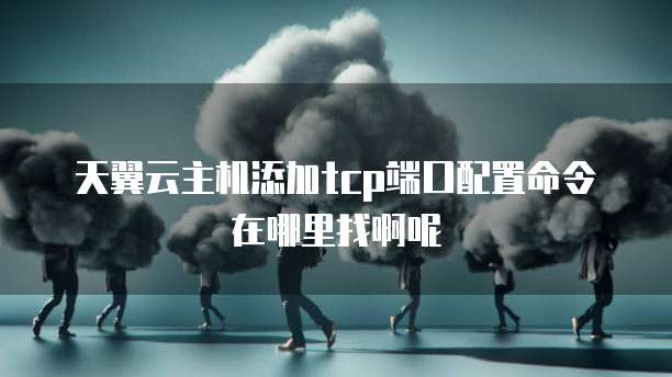 天翼云主机添加tcp端口配置命令在哪里找啊呢