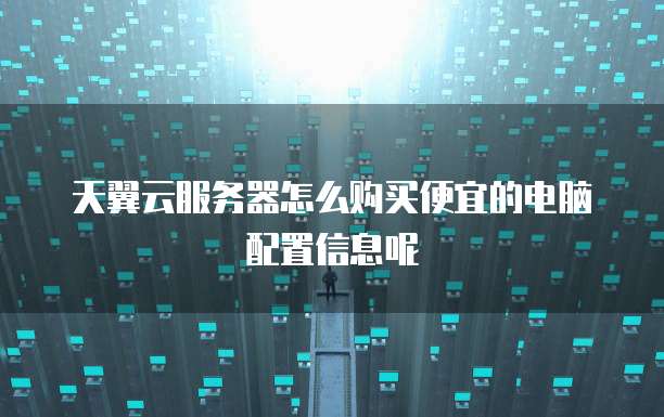 天翼云服务器怎么购买便宜的电脑配置信息呢