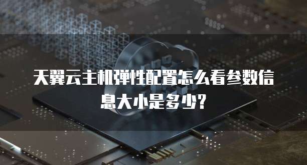 天翼云主机弹性配置怎么看参数信息大小是多少?