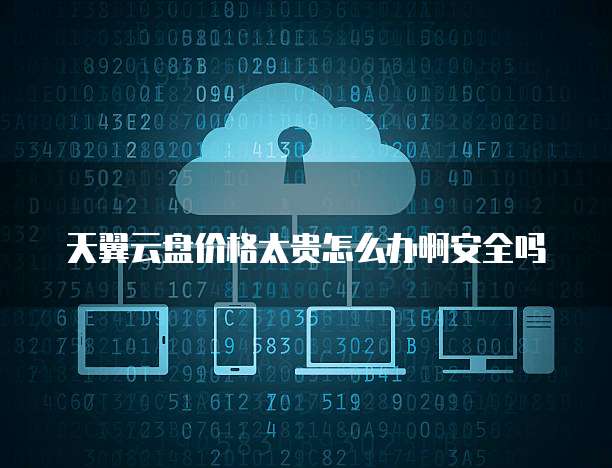 天翼云盘价格太贵怎么办啊安全吗