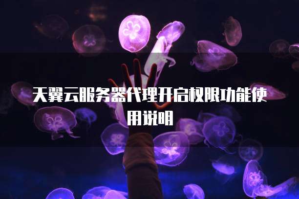 天翼云服务器代理开启权限功能使用说明