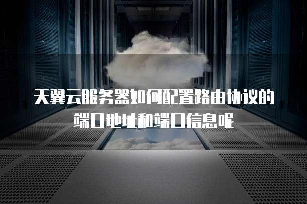 天翼云服务器如何配置路由协议的端口地址和端口信息呢