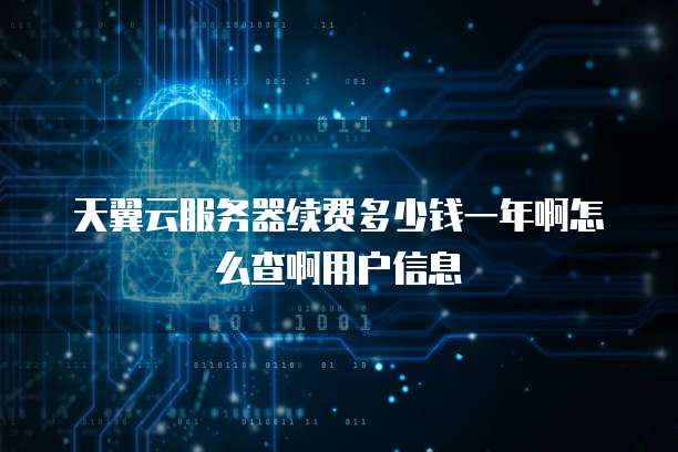 天翼云服务器续费多少钱一年啊怎么查啊用户信息