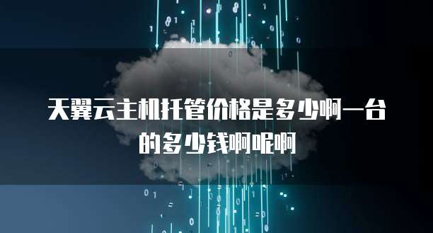天翼云主机托管价格是多少啊一台的多少钱啊呢啊