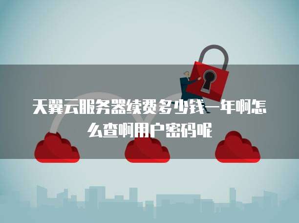 天翼云服务器续费多少钱一年啊怎么查啊用户密码呢