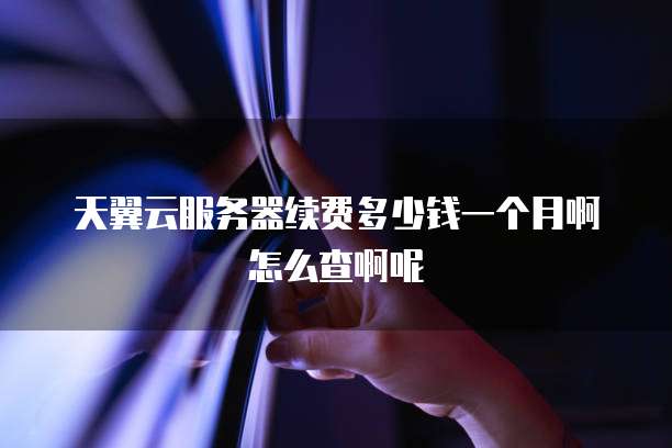 天翼云服务器续费多少钱一个月啊怎么查啊呢