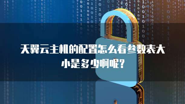 天翼云主机的配置怎么看参数表大小是多少啊呢?