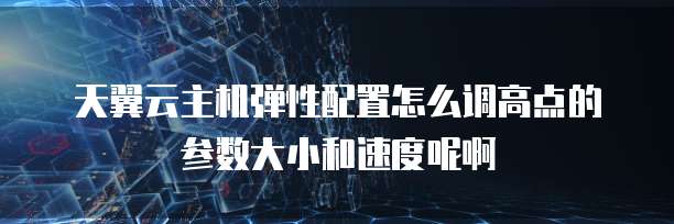 天翼云主机弹性配置怎么调高点的参数大小和速度呢啊