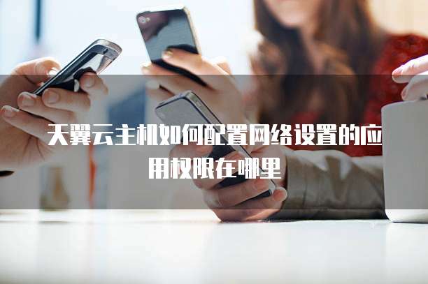 天翼云主机如何配置网络设置的应用权限在哪里