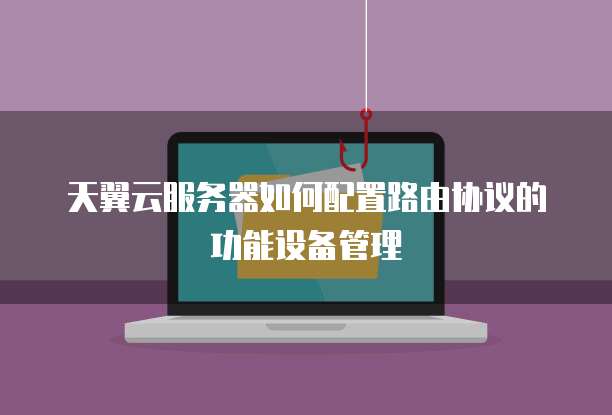 天翼云服务器如何配置路由协议的功能设备管理