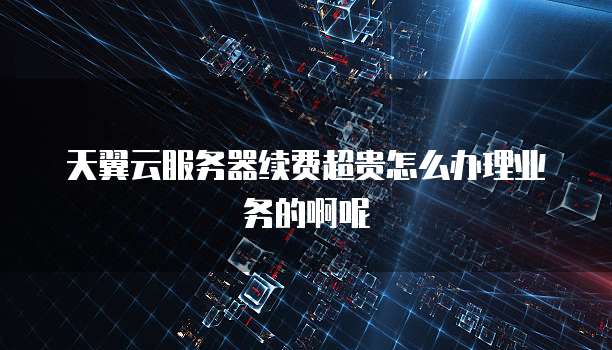 天翼云服务器续费超贵怎么办理业务的啊呢