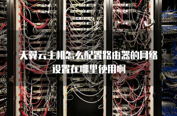 天翼云主机怎么配置路由器的网络设置在哪里使用啊